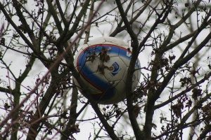 Groen-witten kruipen door ’t oog van de naald