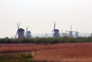 Zaamslag grijpt laatste strohalm
