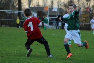Foto's Zaamslag E1 - Vogelwaarde E1