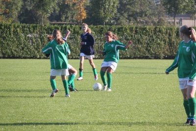 Foto 4 van 15