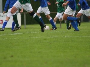 300_aa_img_0061.jpg