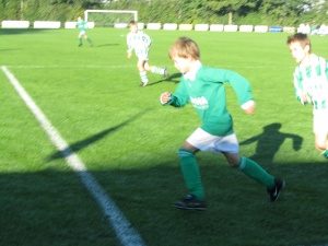 300_img_0915.JPG