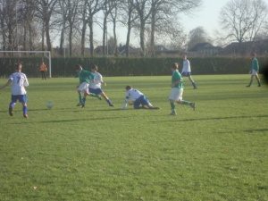 300_dsc03080.JPG
