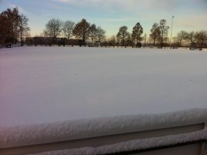 300_veld_besneeuwd_2010.JPG