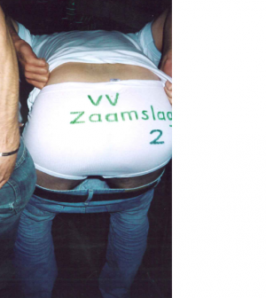 300_vvz2.png